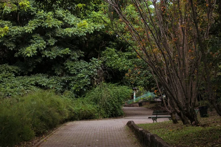 Dense park garden bed packed with orange, pink and purple annuals, people strolling the path behind